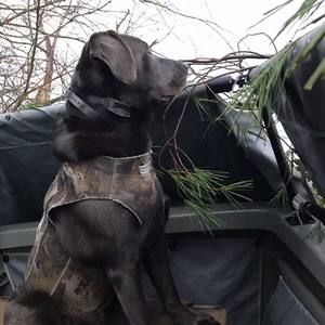 Meet your Posher, Bryan